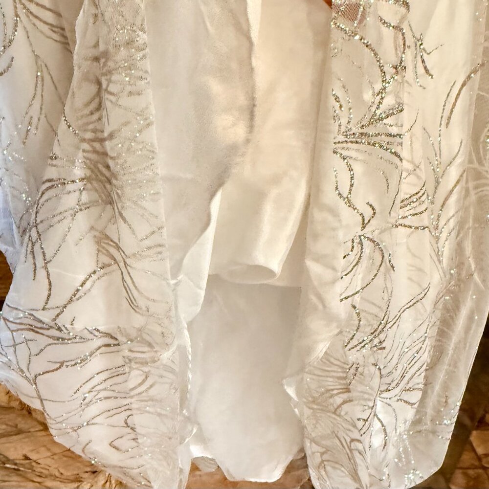 Elegant Ivory Cache Gown With Sequin Details And … - image 5